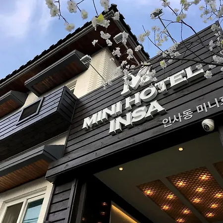Mini Hotel Insa