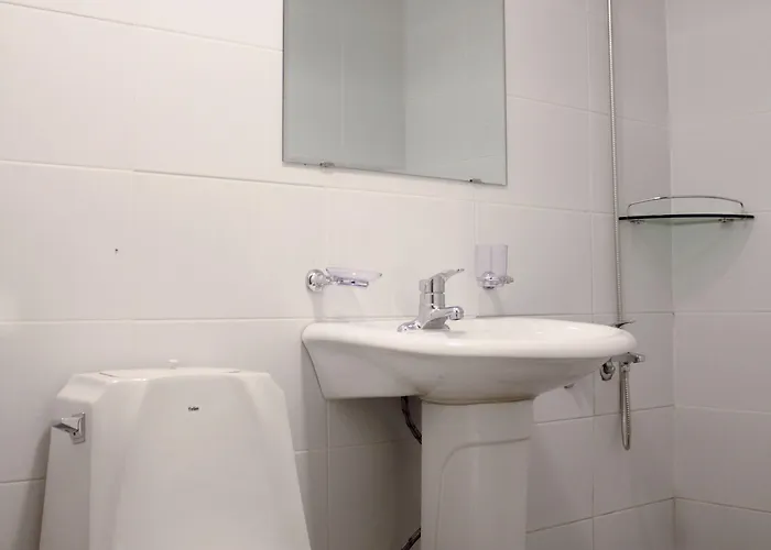 Mini Insa