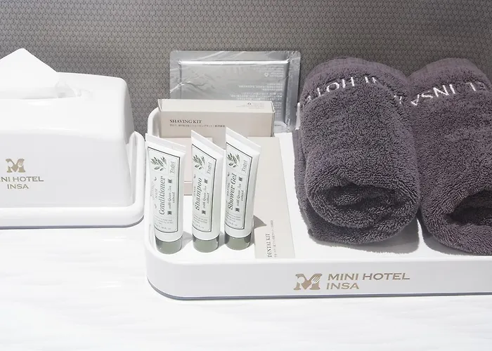Mini Insa Hotel 2*